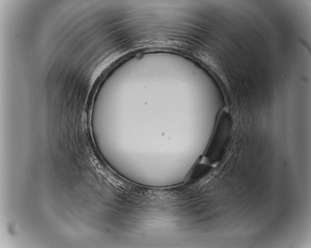 X0000100410928200806201756