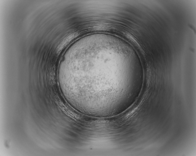 X0000100410930200806201756