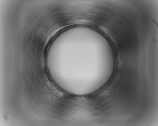 X0000100410931200806201756