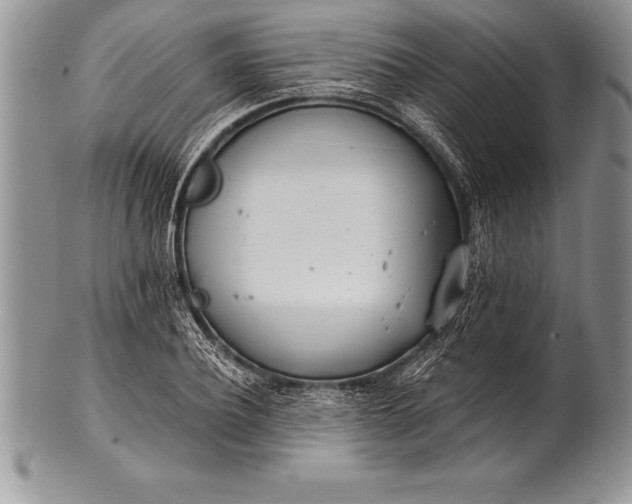 X0000100410932200806201756