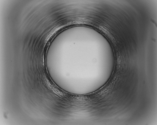 X0000100410934200806201756