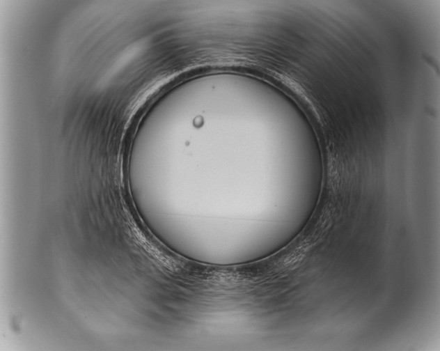 X0000100410935200806201756