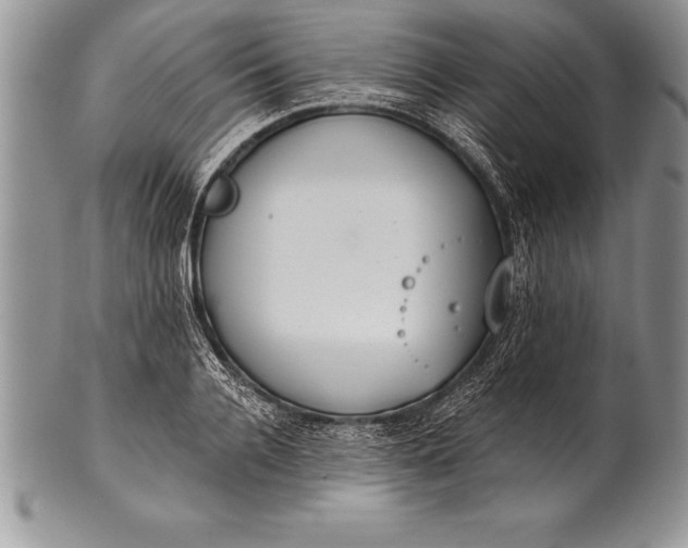 X0000100410936200806201756