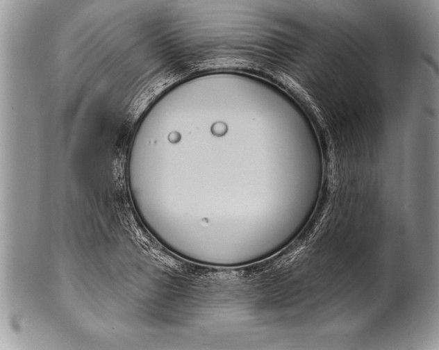 X0000100410937200806201756