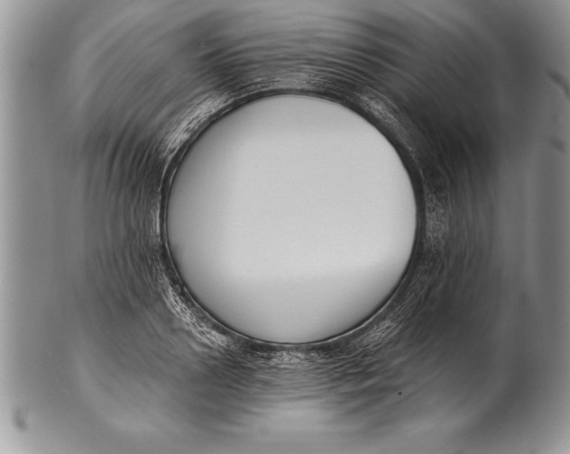 X0000100410938200806201756