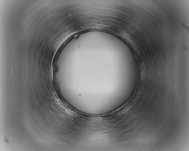 X0000100410940200806201756