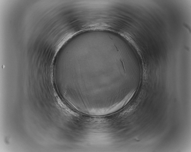 X0000100410941200806201756