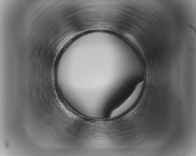 X0000100410942200806201756