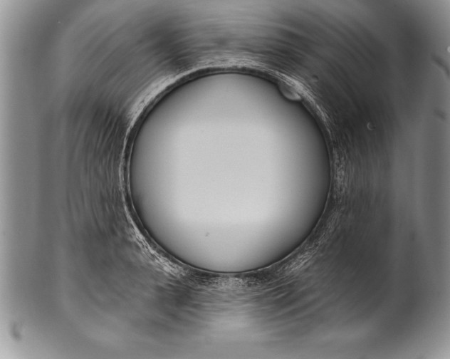 X0000100410943200806201756