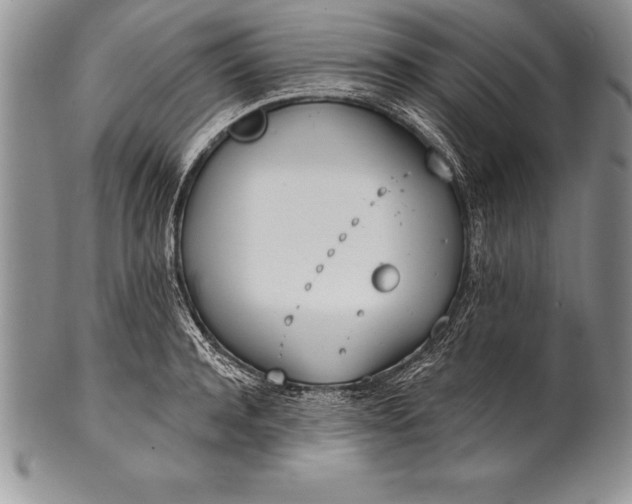 X0000100410944200806201756