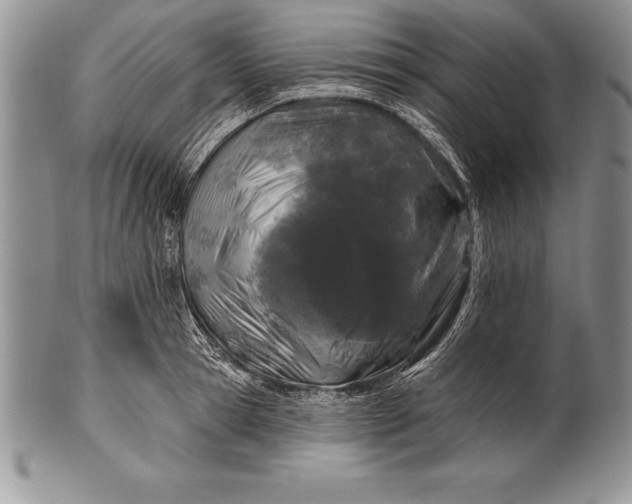 X0000100410945200806201756