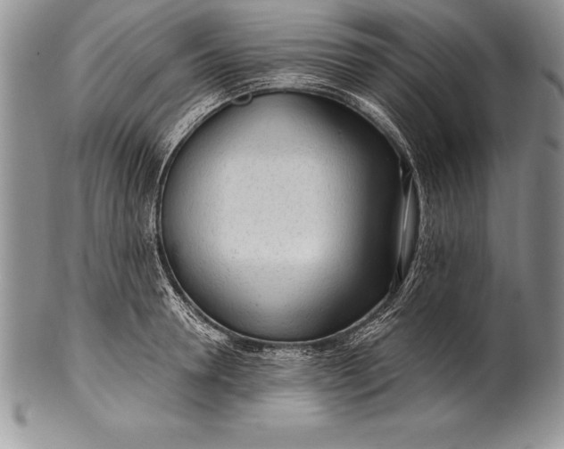 X0000100410946200806201756