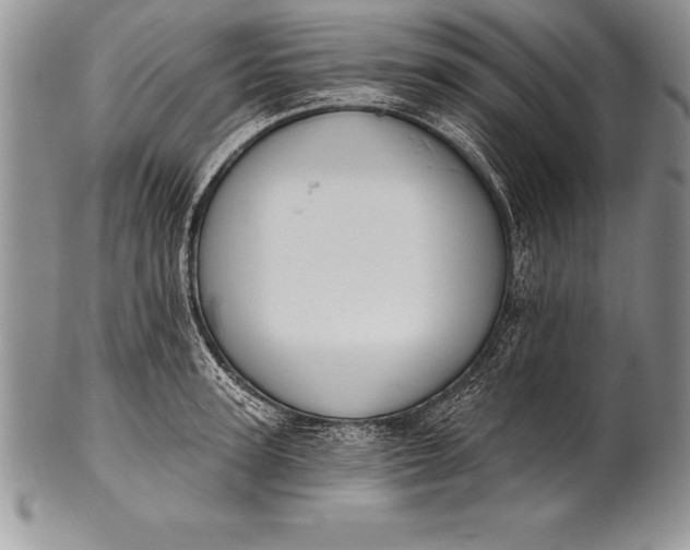 X0000100410947200806201756