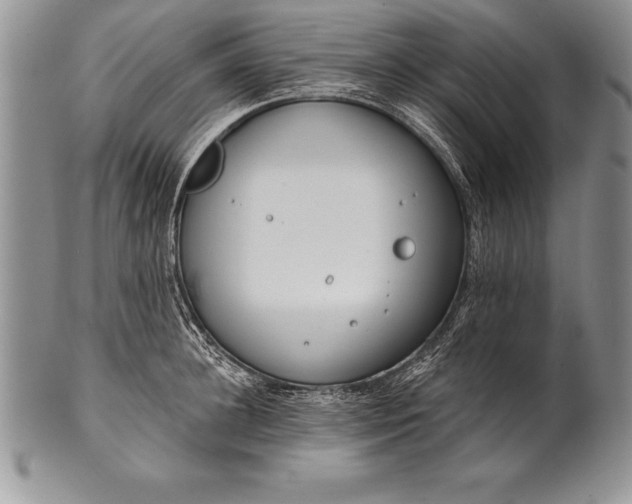 X0000100410948200806201756