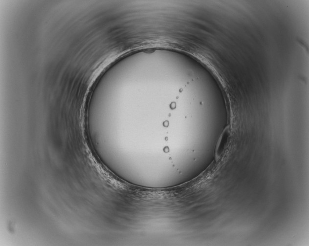 X0000100410949200806201756