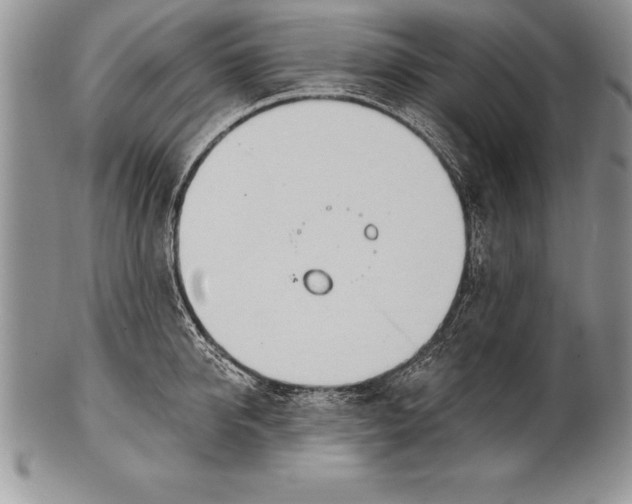 X0000100410950200806201756