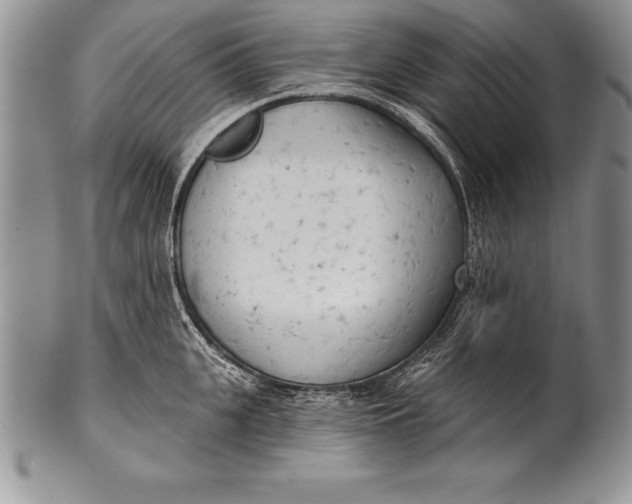 X0000100410951200806201756