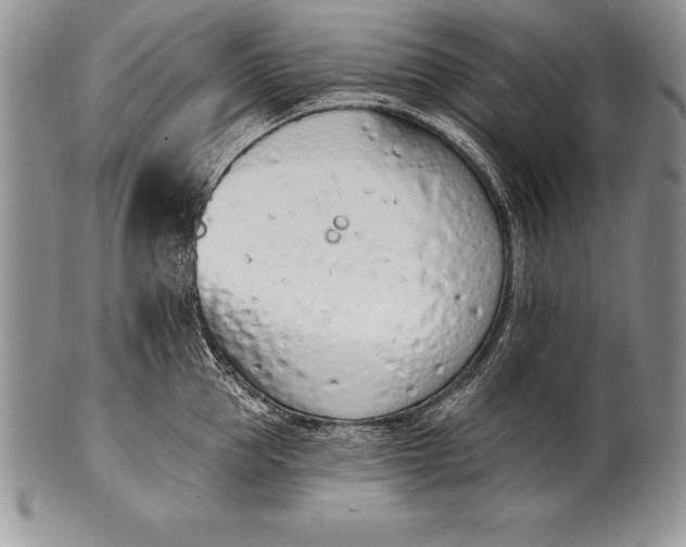 X0000100410953200806201756