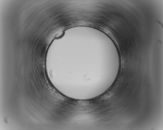 X0000100410954200806201756