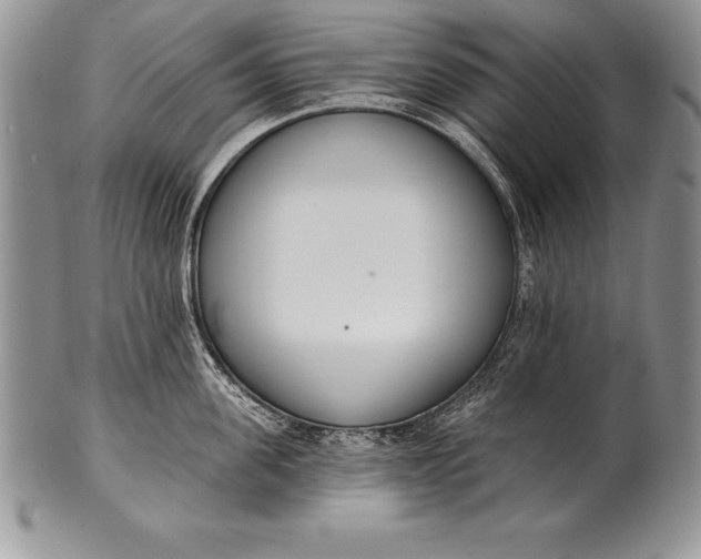 X0000100410955200806201756