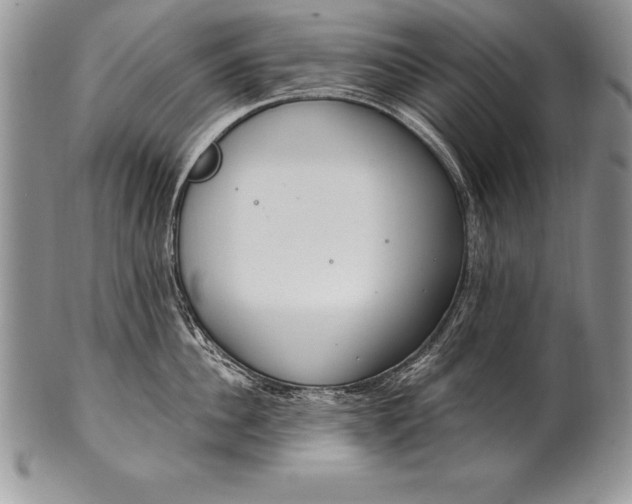 X0000100410956200806201756