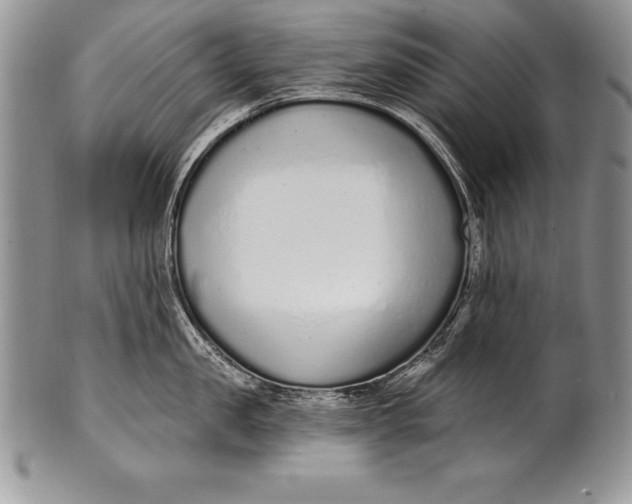 X0000100410957200806201756