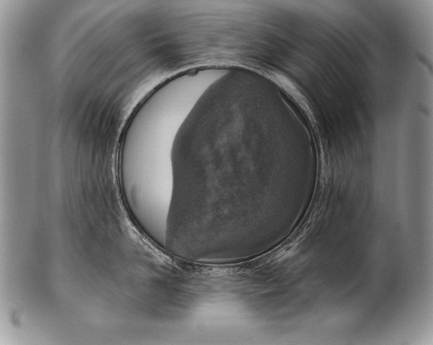 X0000100410958200806201756