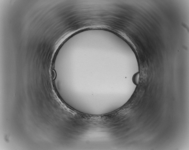 X0000100410959200806201756