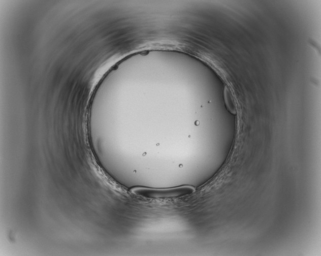 X0000100410960200806201756