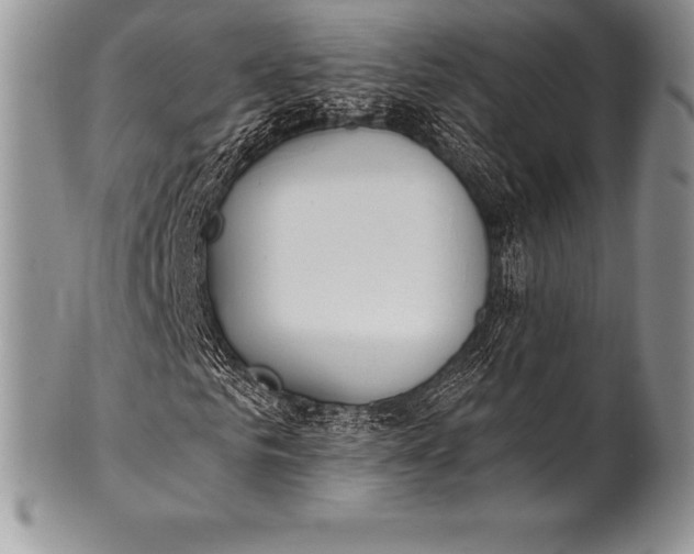 X0000100410961200806201755