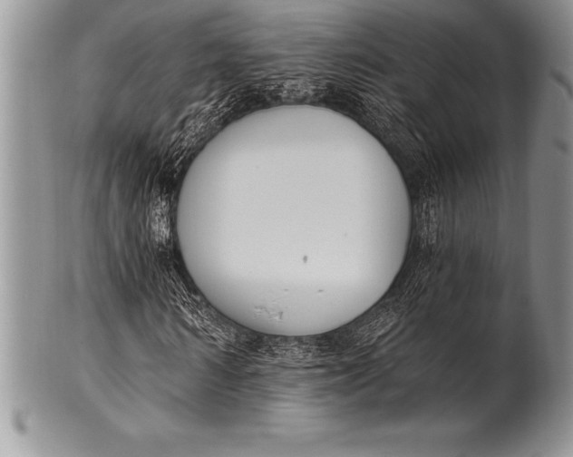 X0000100410962200806201755