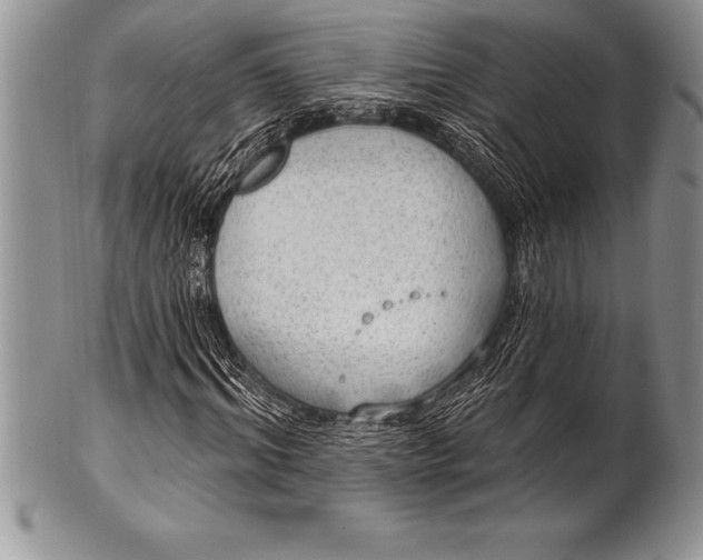 X0000100410964200806201755