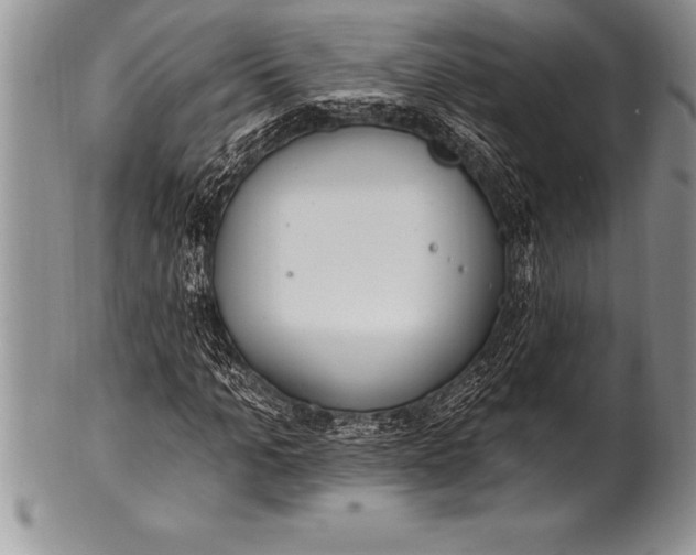 X0000100410965200806201755