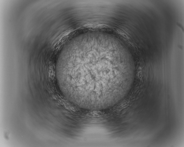 X0000100410966200806201755