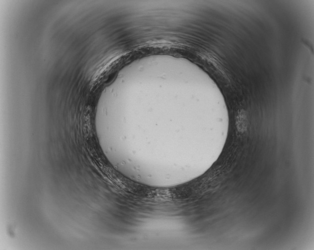 X0000100410968200806201755