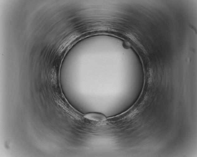 X0000100410969200806201755