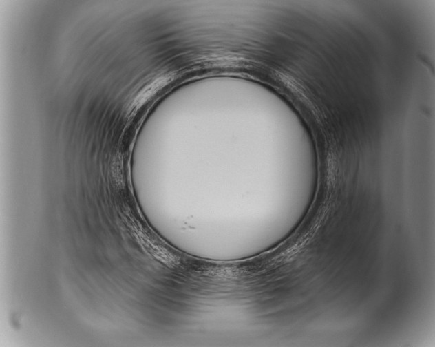 X0000100410970200806201755