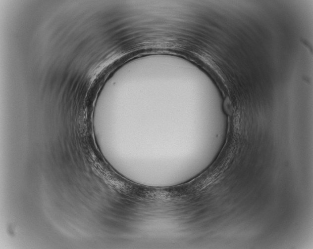 X0000100410971200806201755