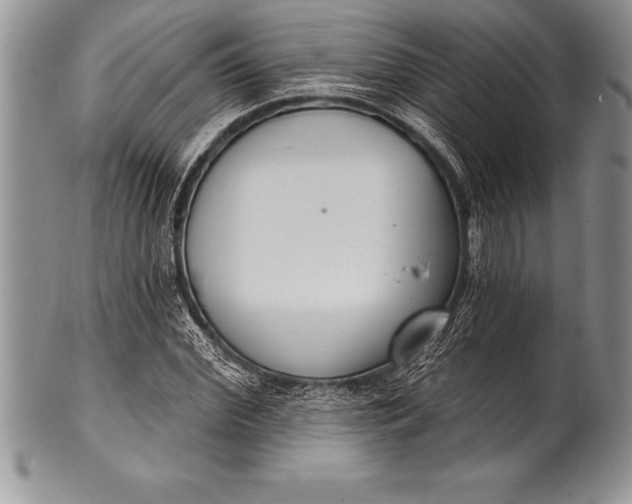 X0000100410972200806201755