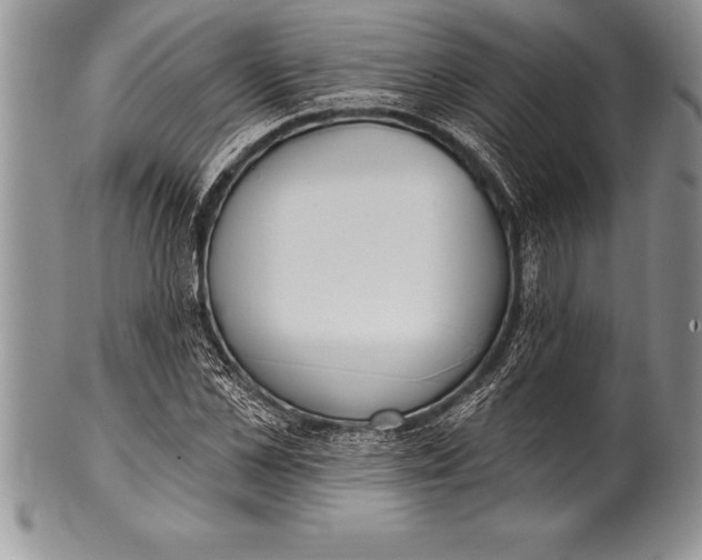 X0000100410973200806201755