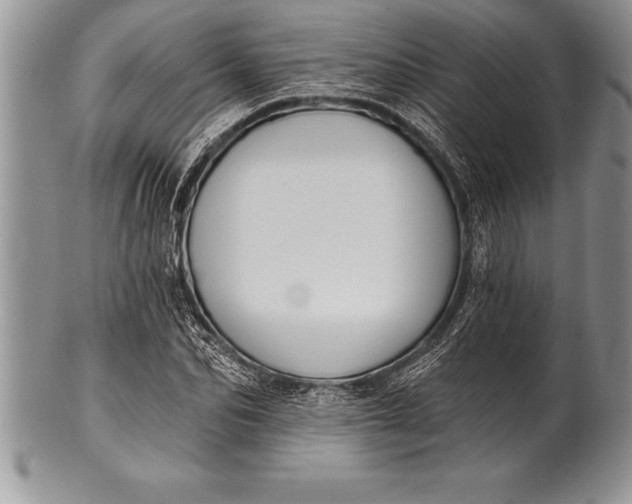 X0000100410974200806201755