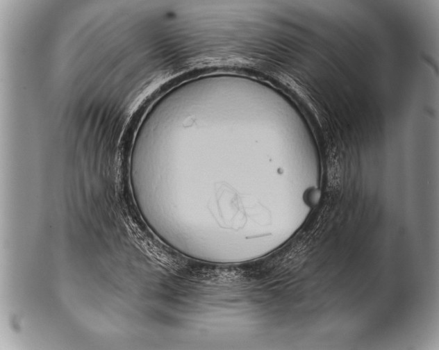 X0000100410975200806201755