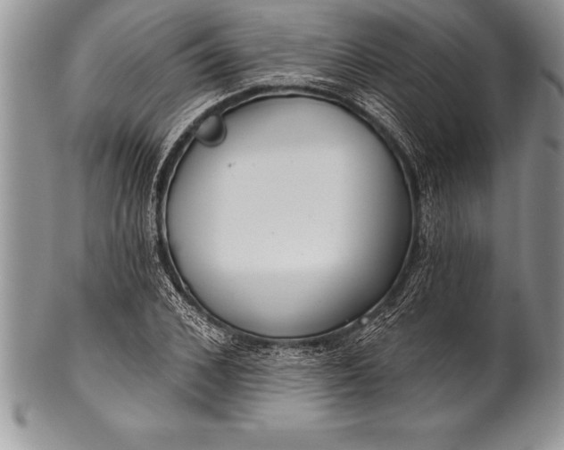 X0000100410976200806201755