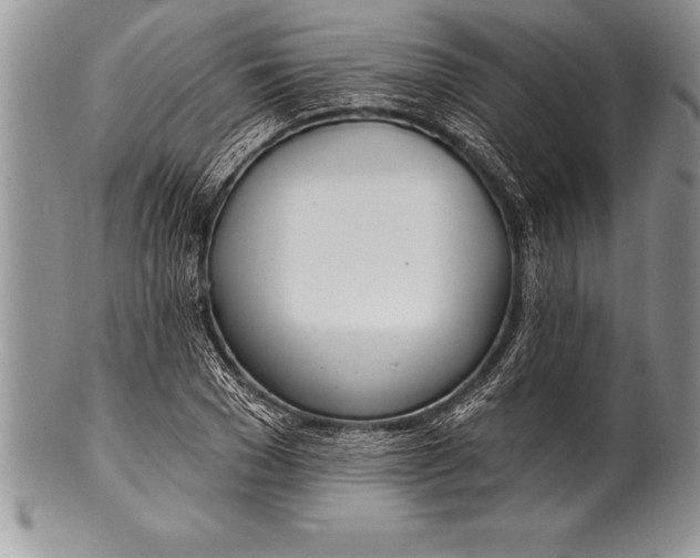 X0000100410977200806201755