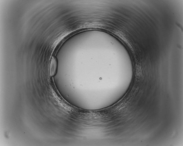 X0000100410980200806201755