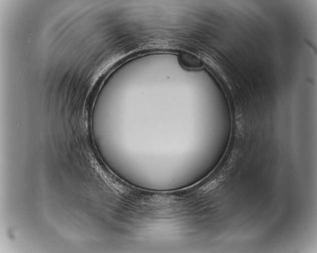 X0000100410981200806201755