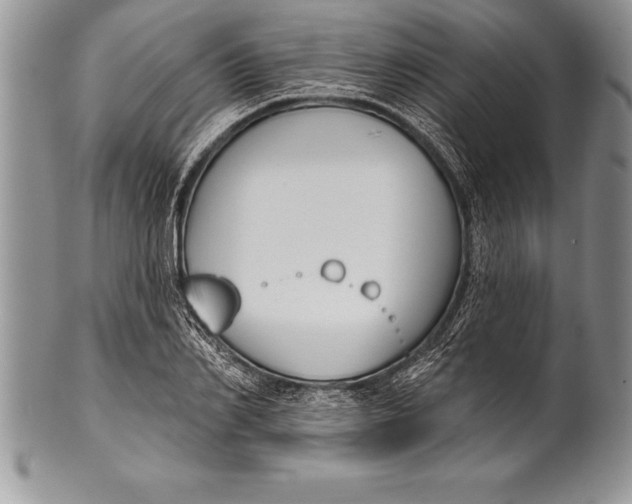 X0000100410982200806201755