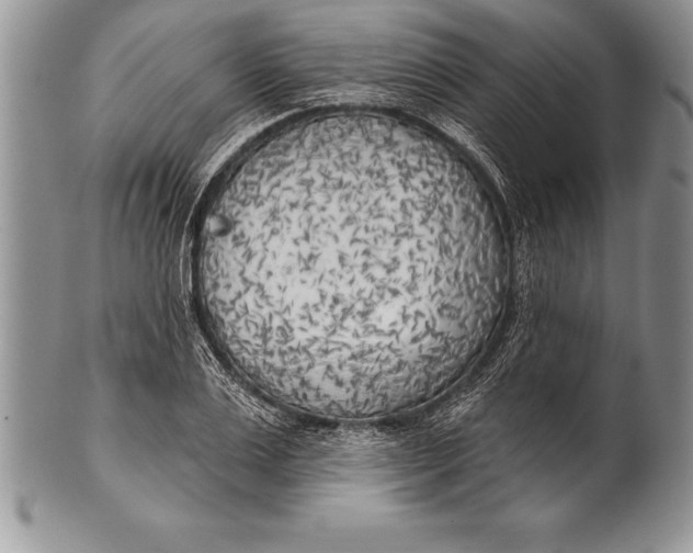 X0000100410983200806201755