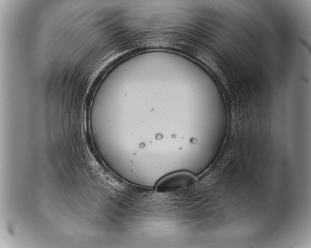 X0000100410984200806201755