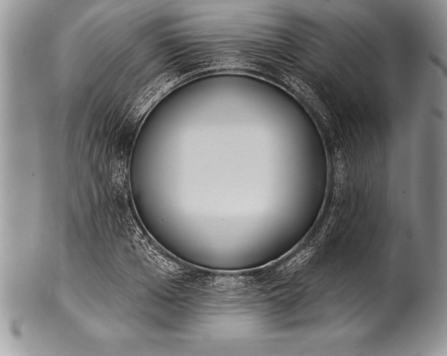 X0000100410985200806201755